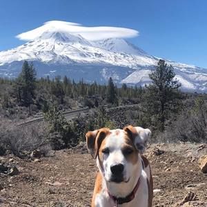 Meet your Posher, Rosanne